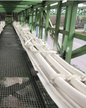 鋼鐵集團選擇大連義邦Flammotect A防火涂料,為線纜提供高達A60等級防火保護